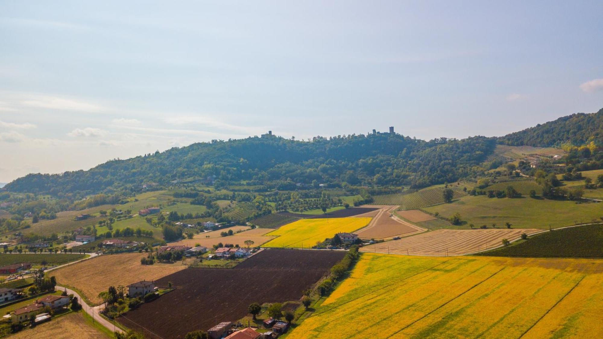Agriturismo Riva Ratta Montecchio Maggiore Bagian luar foto